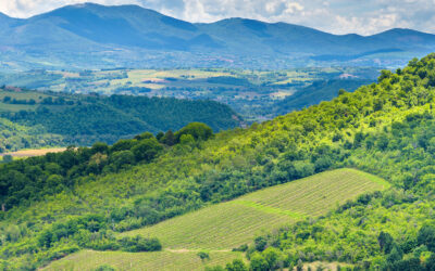 Area interna Sud Ovest Orvietano, un modello di governance da tenere d’occhio