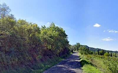 Iniziati i lavori sulla Strada Provinciale 111 dell’Abbadia